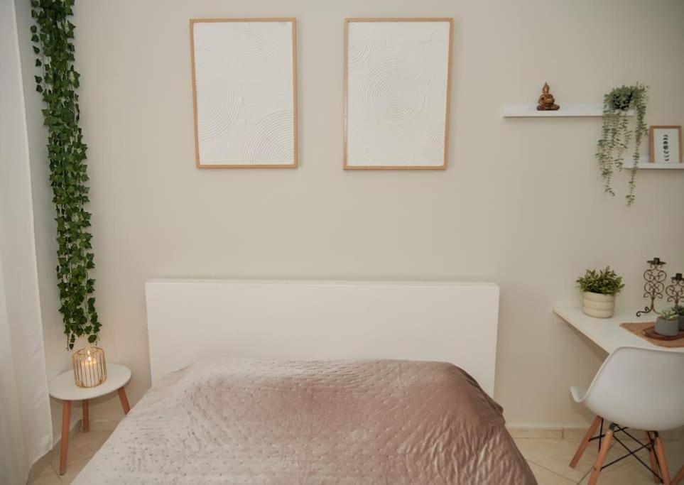 Florina Modern Studio Eksteriør bilde